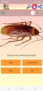guess the animal quiz