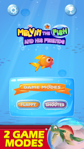 Melvin the cute Clown Fish