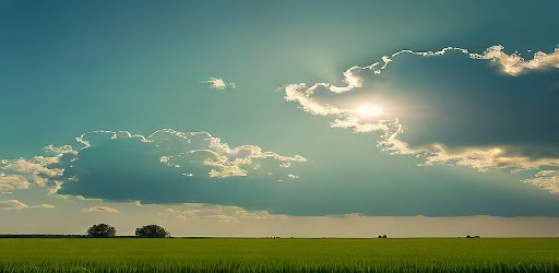 Daily Weather Forecast & Radar