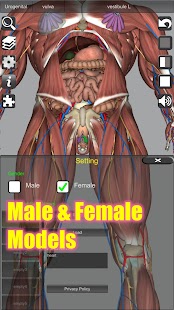 Pamjet e ekranit të Anatomisë 3D