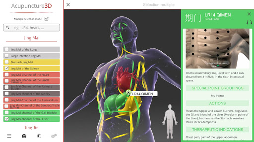 Acupuncture 3D Screen 3