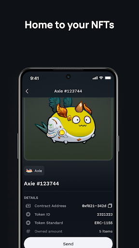 Screenshot of Ronin Wallet