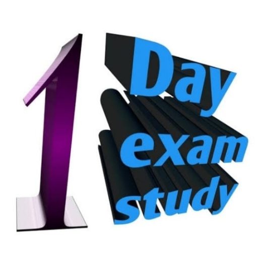 1 Day Exam Study logo