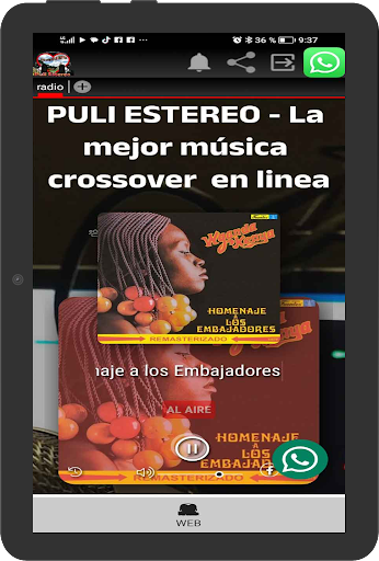 Puli Estereo Cross