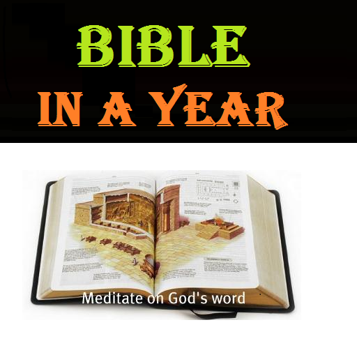 Read Bible in a Year- NLT
