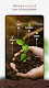 screenshot of Plant-X, Plant Identification