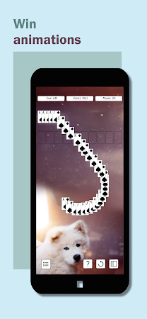 Game screenshot Spider Solitaire hack