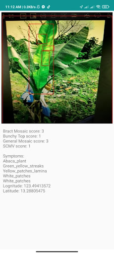 AbaDDApp AbacaDiseaseDetection Screen 3