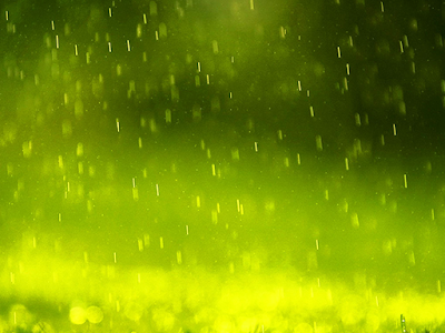 壁紙 美しい 雨 の 画像 247663