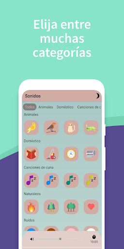 Vista previa de la aplicación