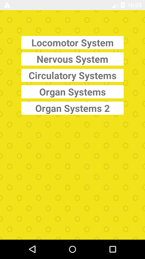 Anatomy Screen 3