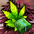 Hempire - Plant Growing Game 2.6.0