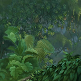 Jungle Live Wallpaper icon