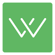 Wire Flow Wireframe Design