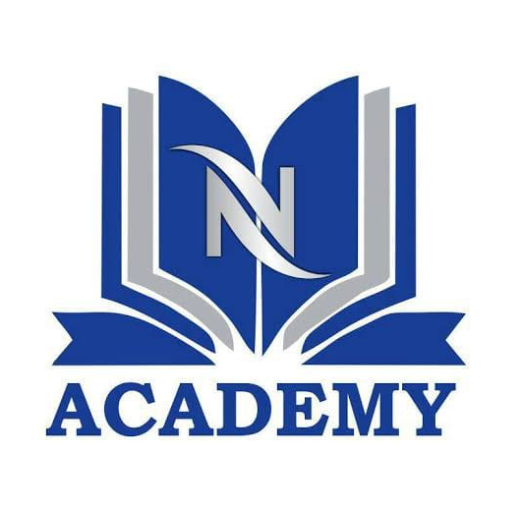 N ACADEMY logo