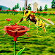 ハチの生活 - Androidアプリ