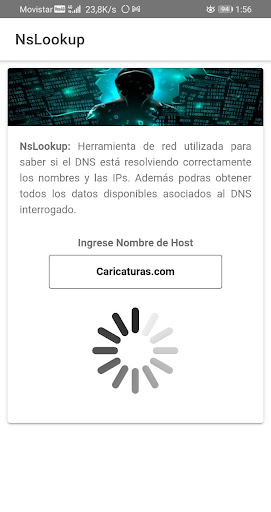 NsLookup Pro  Get DNS info