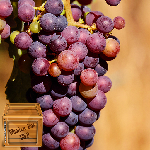 grape wallpaper logo
