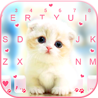 Фон клавиатуры Cute White Kitten