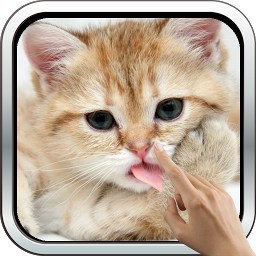 「Magic Touch: Fluffy Cat Live W」圖示圖片