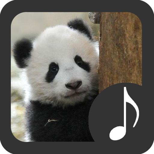 Panda Sounds