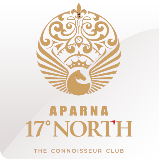 17 Degrees North logo