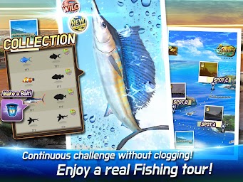 Fishing Tour : Hook the fish!