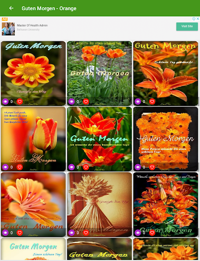 Guten Morgen-Gute Nacht