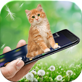 Cat in Phone: Cute Virtual Kitten Prank App Free icon