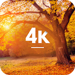 Cover Image of Download Autumn Wallpapers in 4K  APK