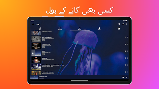 اسکرین شاٹ کی تصویر