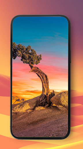 Android application Sahara wallpaper Collection screenshort