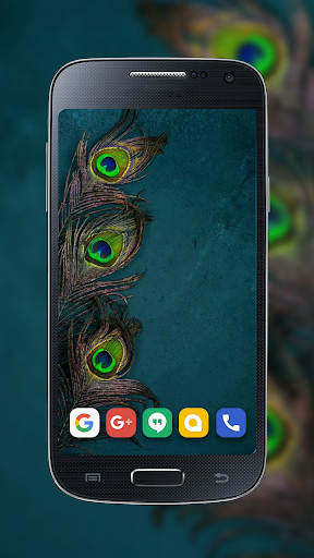 Android application Bulu Merak Indah Wallpaper screenshort