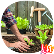 Vegetable Gardening Guide