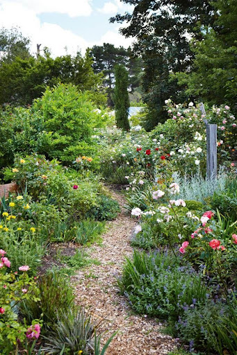 Rose Garden Screenshot 2 - AppWisp.com
