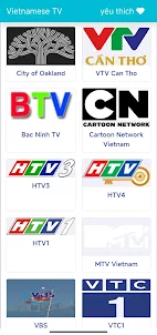 Vietnamese TV
