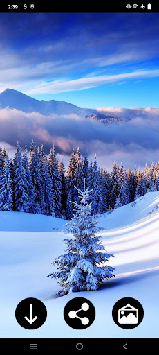 Android application Snow Wallpapers screenshort