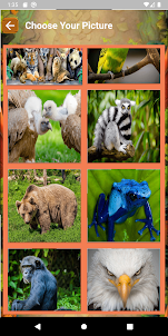 Wild Animal puzzle