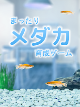 まったりメダカ育成ゲーム Google Play のアプリ