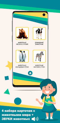 Карточки животные