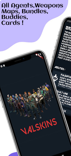 Valskins  Valorant Skins