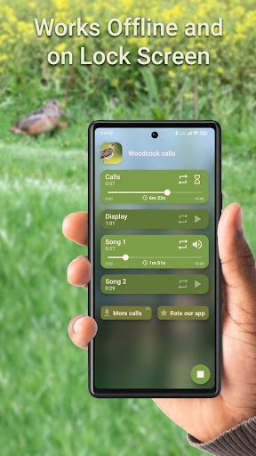 Woodcock Hunting Calls Screen 3