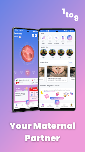 1 to 9 - Your Maternal Partner