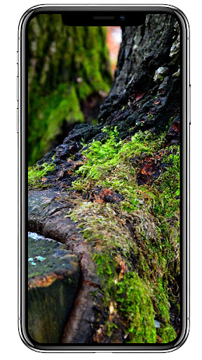 Green Wallpapers HD Screen 2