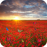 Sea Of Flowers icon