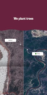Ecosia: Browse to plant trees. 4