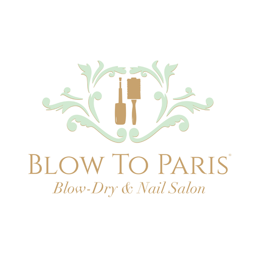 Blow To Paris logo
