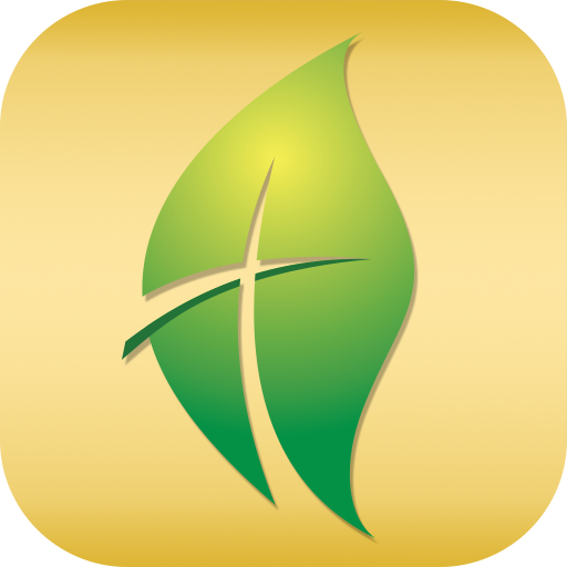 New Life Staunton logo