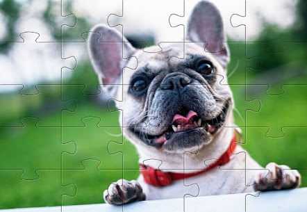 Dogs Jigsaw Puzzles 2.11.00 MOD APK (Unlimited Money) Free Foe Android 10