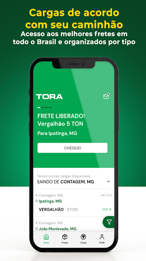 Tora: Fretes e Cargas Screen 3